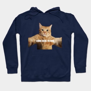 Funny red cat extends his paws for a hug meme Hoodie